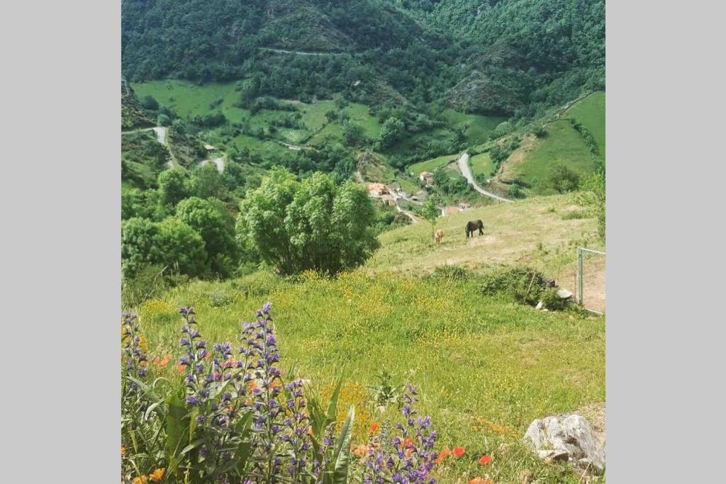 הוילה Páramo Casa Con Vistas Y Encanto En Parque Natural מראה חיצוני תמונה